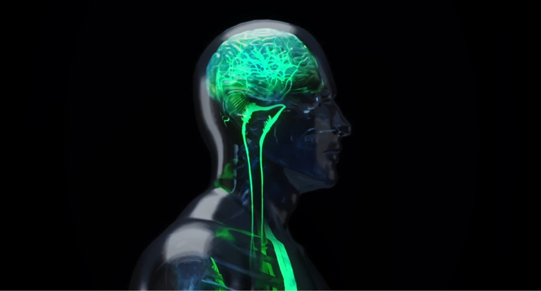 Recent Breakthrough Links Anxiety to a Secret Nerve in Your Body