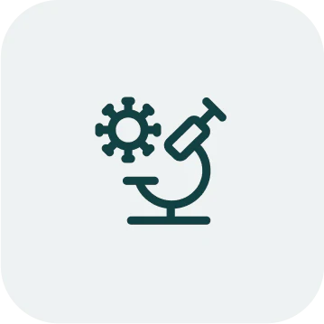 Client-Image