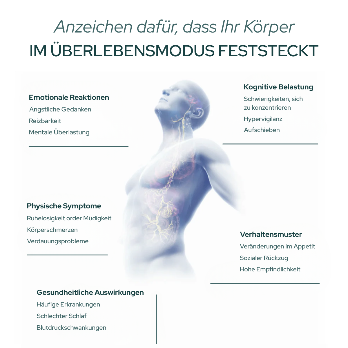 Dysregulation des Nervensystems