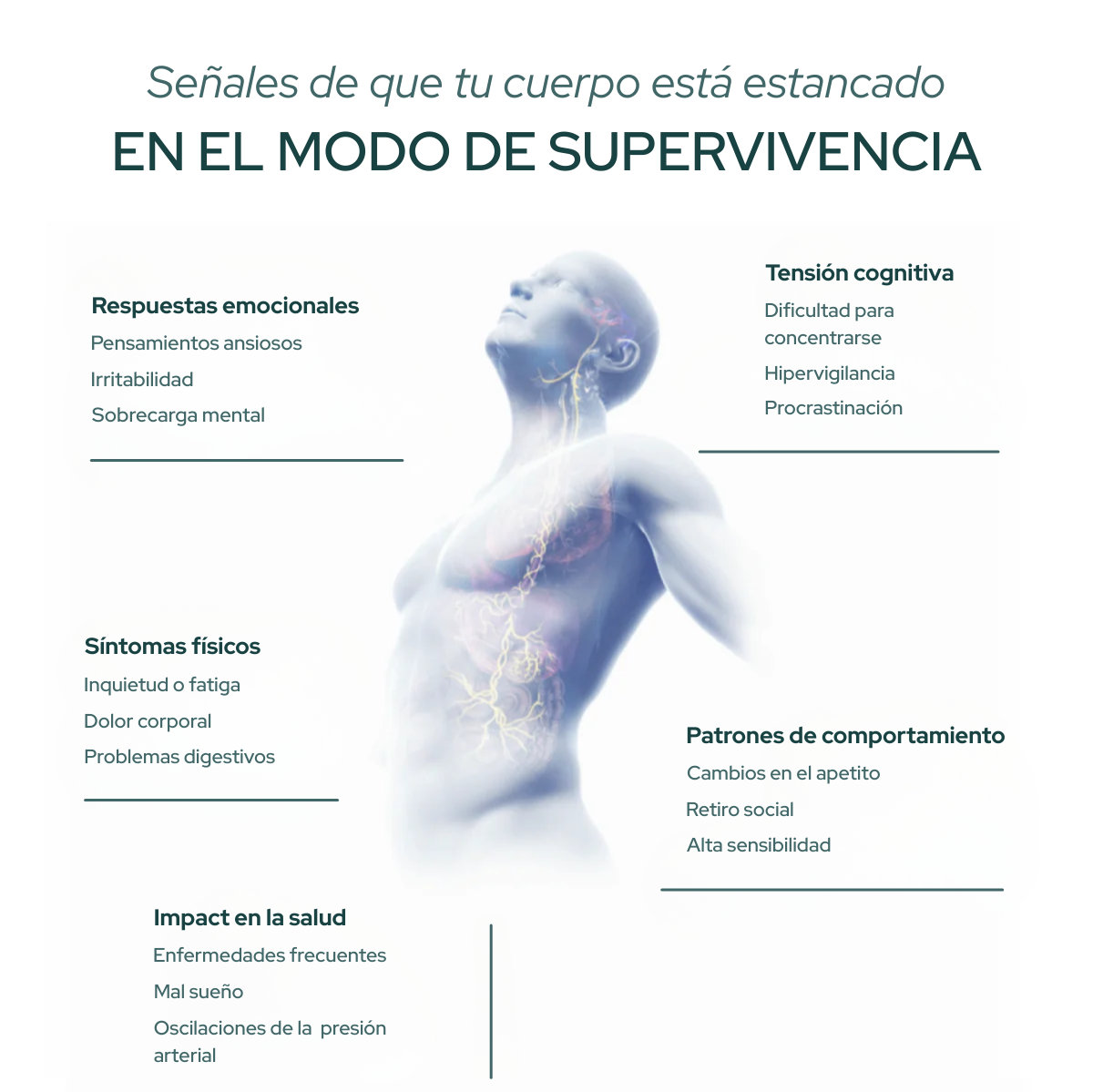 Disregulación del sistema nervioso