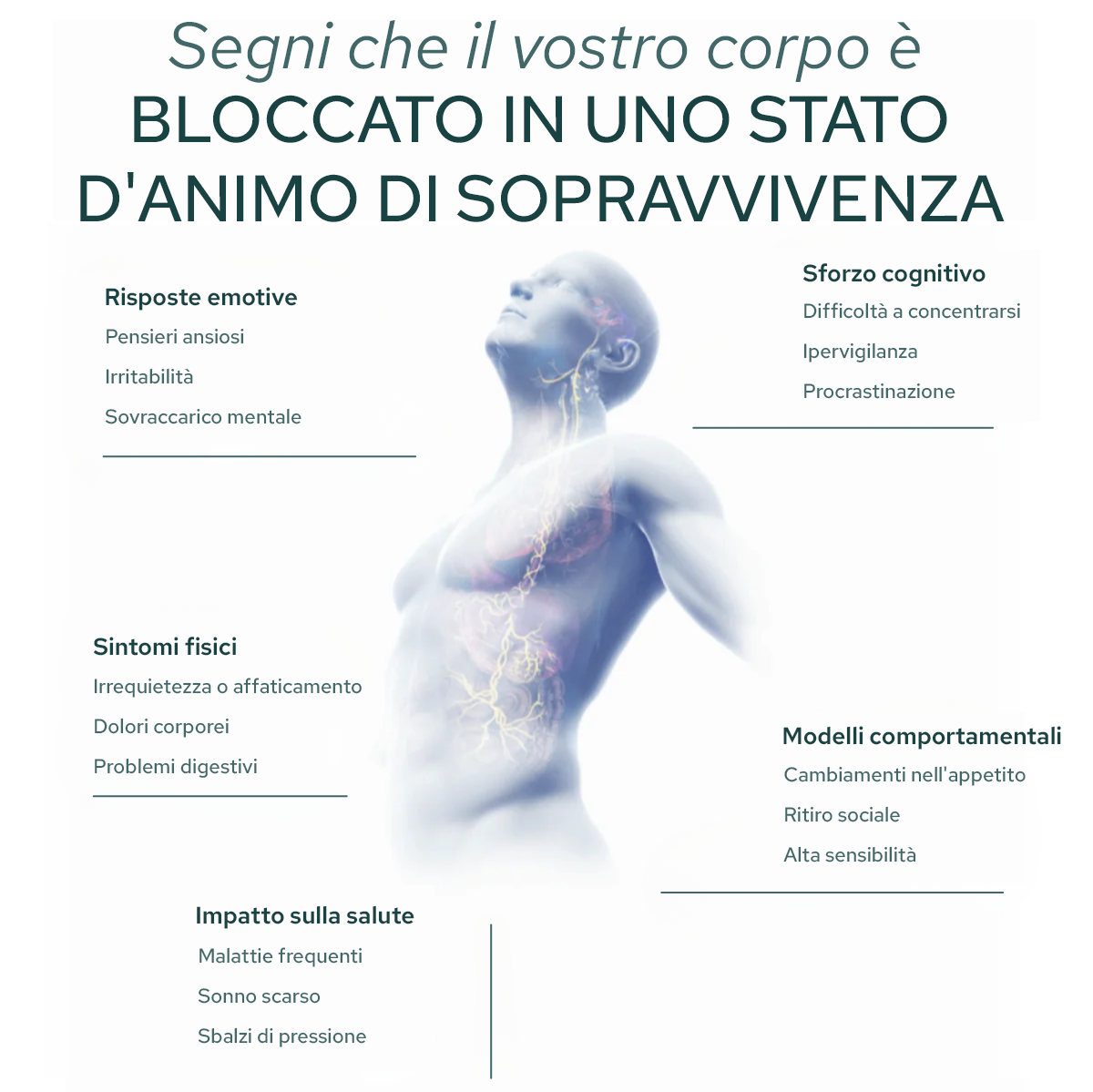 Disregolazione del sistema nervoso