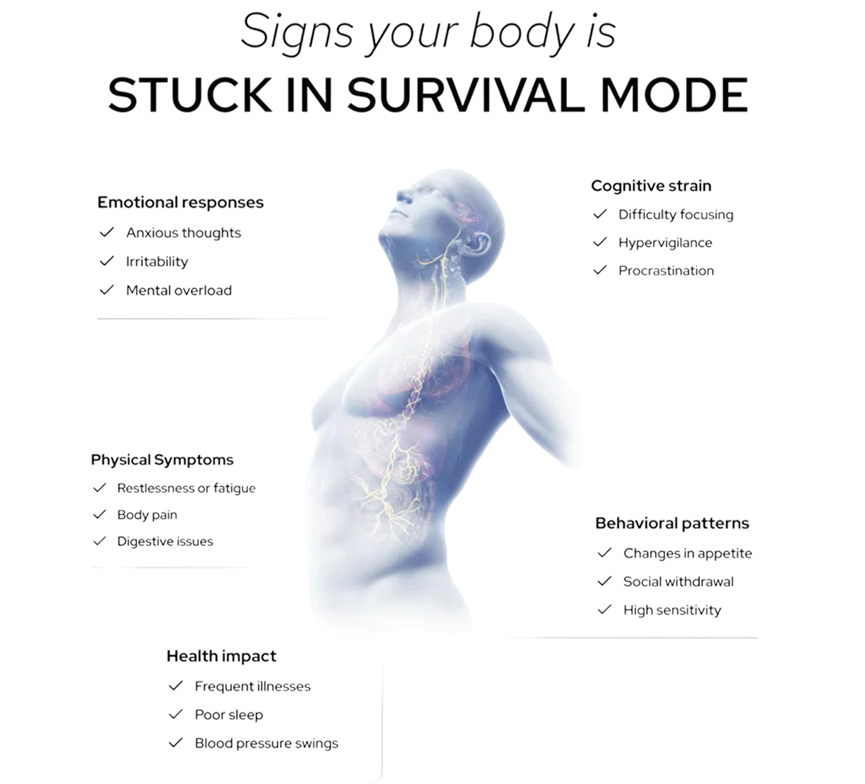 Is Your Nervous System Contributing to Chronic Fatigue, Brain Fog, or Burnout?
