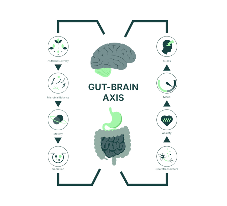 Is Your Nervous System Impairing Digestion?