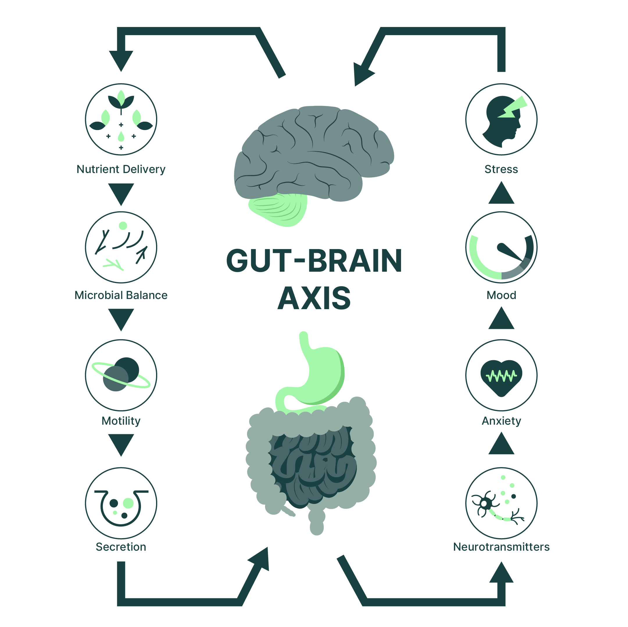 Is Your Nervous System Impairing Digestion?
