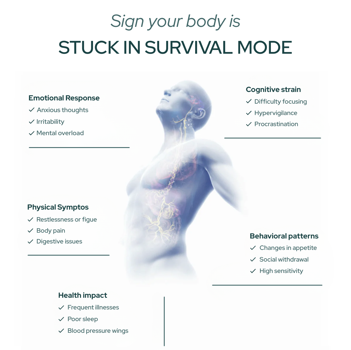 Is Your Nervous System Contributing to Chronic Tiredness, Brain Fog, or Burnout?
