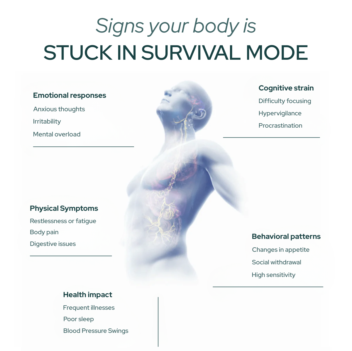 Nervous System Dysregulation